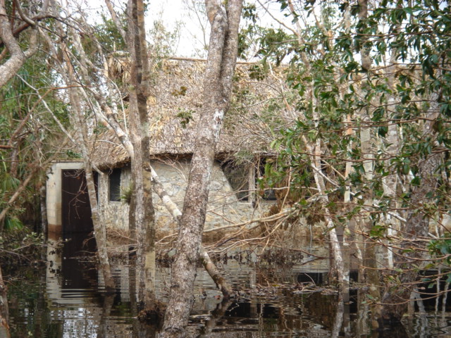 dsc00599.jpg